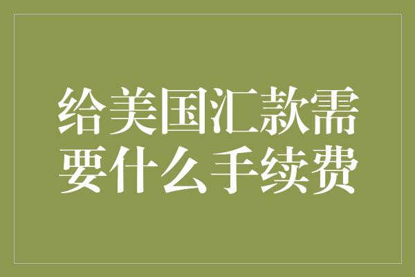 给美国汇款需要什么手续费