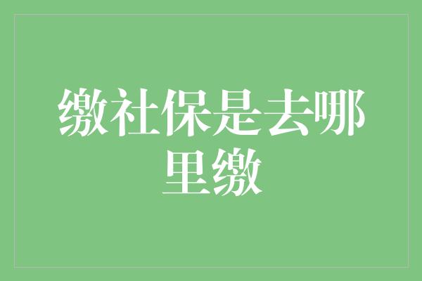 缴社保是去哪里缴