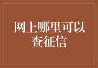 征信查询大攻略：从小白到信用达人的奇幻之旅