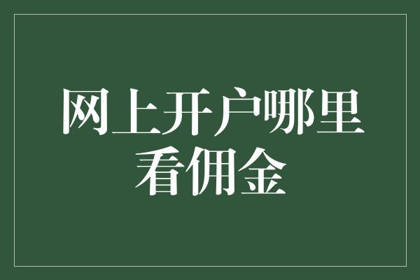 网上开户哪里看佣金