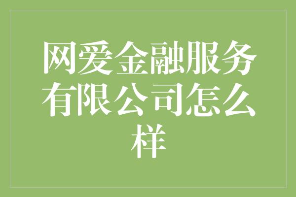 网爱金融服务有限公司怎么样