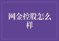 网金控股：互联网金融的领航者