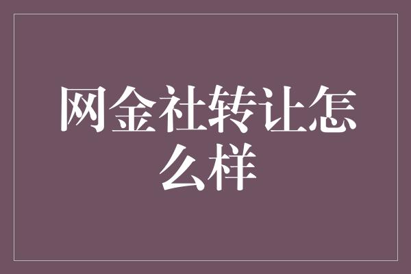 网金社转让怎么样