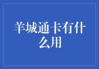 羊城通卡的多功能应用：从交通出行到日常生活，它如何改变我们的生活方式