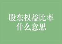 理解股东权益比率：企业财务健康的重要指标