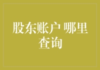 股东账户信息查询：方法与注意事项