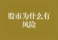 股市的风险之源：为何投资股市充满不确定性