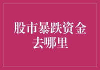 股市暴跌：资金去哪儿了？