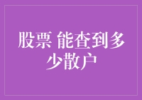 探索股票市场的藏匿之地：散户在股票信息中的可见度