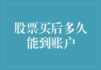 股票买后多久能到账户：一个投资者的奇幻漂流记