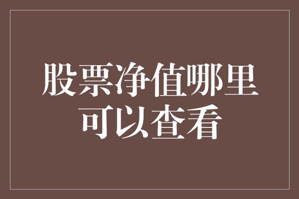 股票净值哪里可以查看