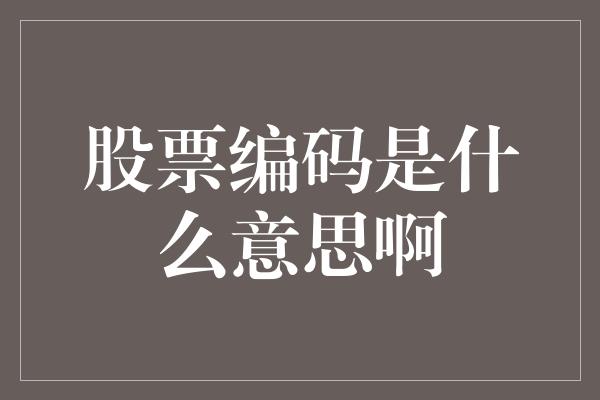 股票编码是什么意思啊