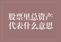 股票市场中的总资产：概念与意义