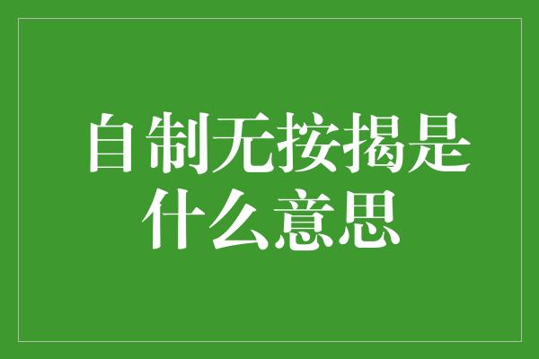 自制无按揭是什么意思