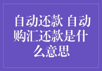 自动还款与自动购汇还款的妙趣解读