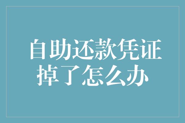 自助还款凭证掉了怎么办