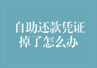 自助还款凭证掉了，我的世界里只剩下99个梦想