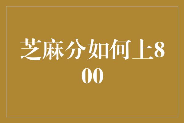 芝麻分如何上800