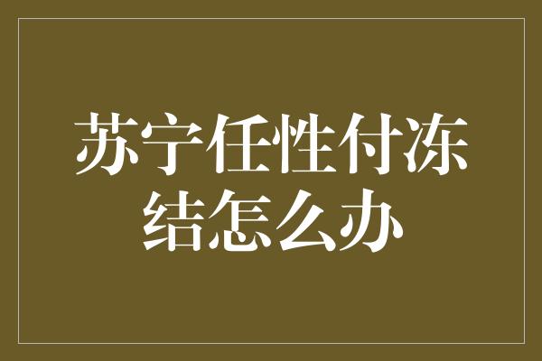 苏宁任性付冻结怎么办