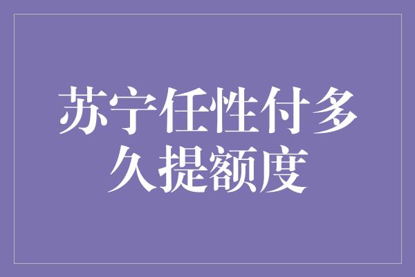 苏宁任性付多久提额度