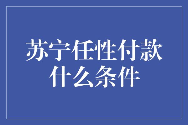 苏宁任性付款什么条件