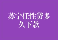 苏宁任性贷下款比跑得快的快递员还要快，你相信吗？