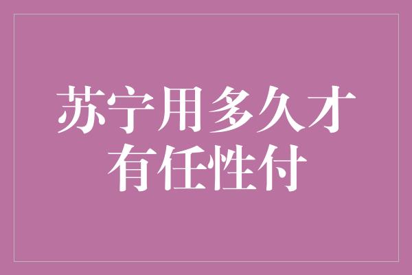 苏宁用多久才有任性付