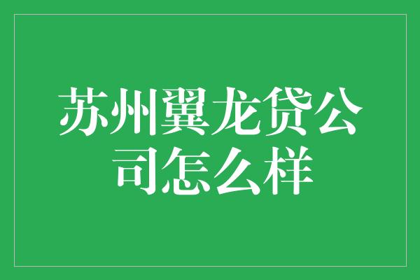 苏州翼龙贷公司怎么样