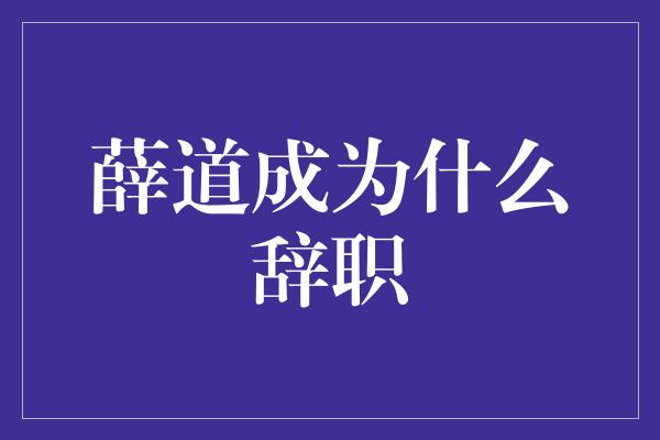 薛道成为什么辞职