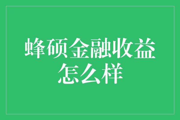 蜂硕金融收益怎么样