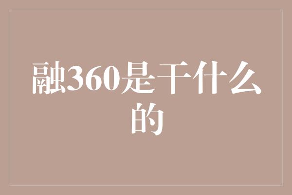 融360是干什么的