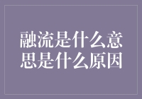 融流：一种新的文化现象及其原因分析