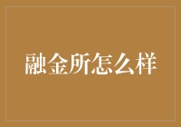 融金所：互联网金融行业的破浪者