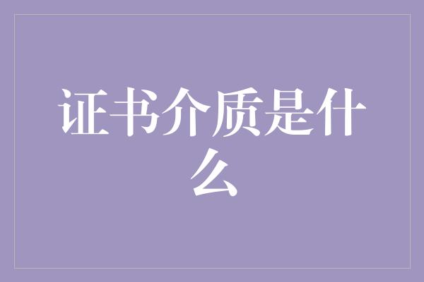 证书介质是什么