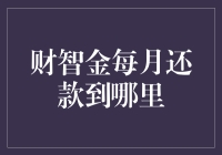 财智金每月还款：安全与透明的双重保障