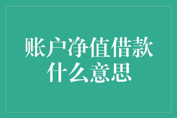 账户净值借款什么意思