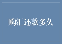 购汇还款多久？专家教你科学安排时间，轻松转身外汇达人