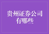 贵州证券公司行业概览与分析