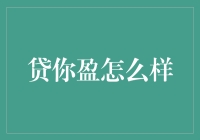 贷你盈：一盏照亮你负债之路的明灯？