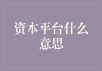 资本平台的多元解读与应用：构筑新型资本流动桥梁