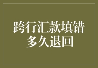 跨行汇款填错多久退回：资金安全与银行处理时间解析