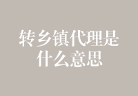 转乡镇代理：从都市白领到乡村掌柜的奇妙变身记