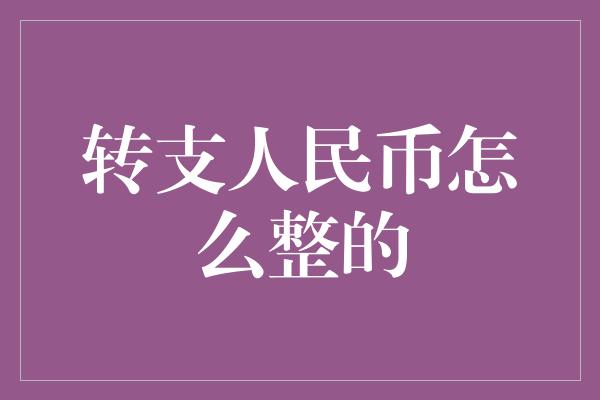 转支人民币怎么整的