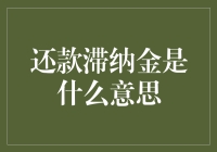 还款滞纳金的含义与影响：一个信贷知识解析