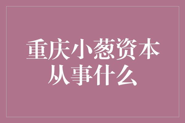 重庆小葱资本从事什么