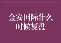 金安国际复盘：一场时间的马拉松