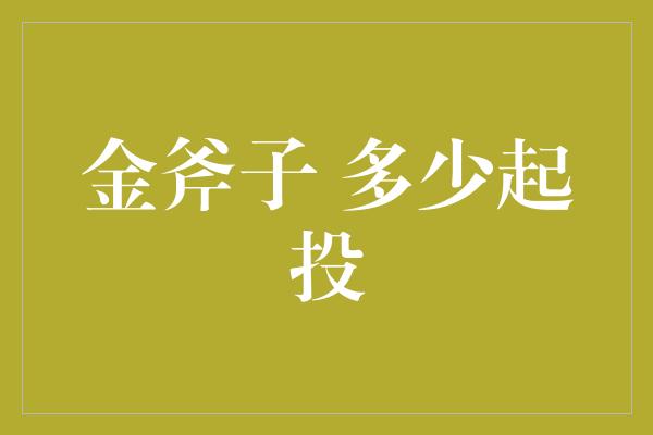 金斧子 多少起投