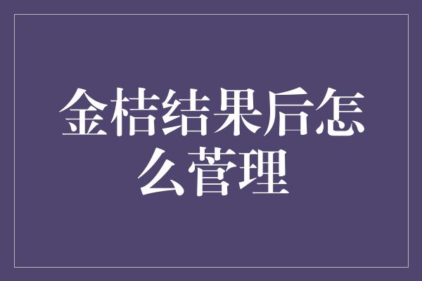 金桔结果后怎么菅理