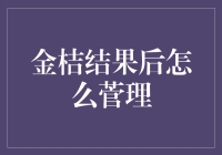 金桔结果后的精细管理：从收获到休眠的全面指南