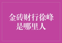 金砖财行创始人徐峰的家乡情结与人生轨迹